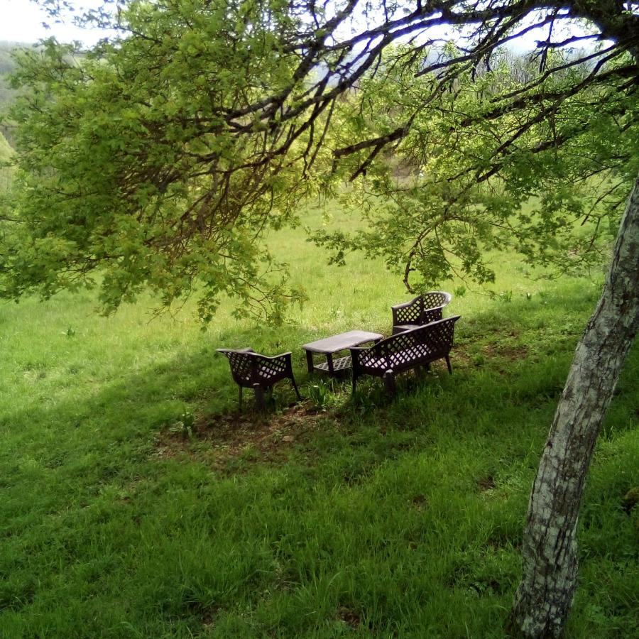 Albareto  Casa Del Gigi Bnb מראה חיצוני תמונה