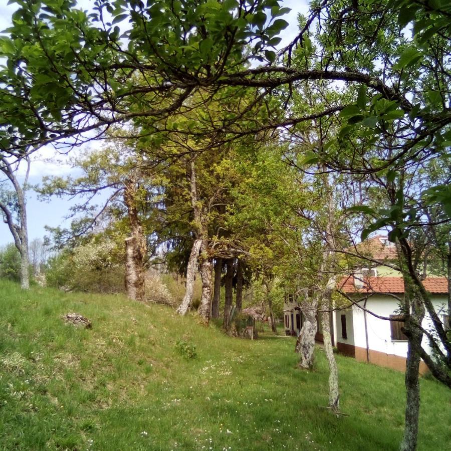 Albareto  Casa Del Gigi Bnb מראה חיצוני תמונה