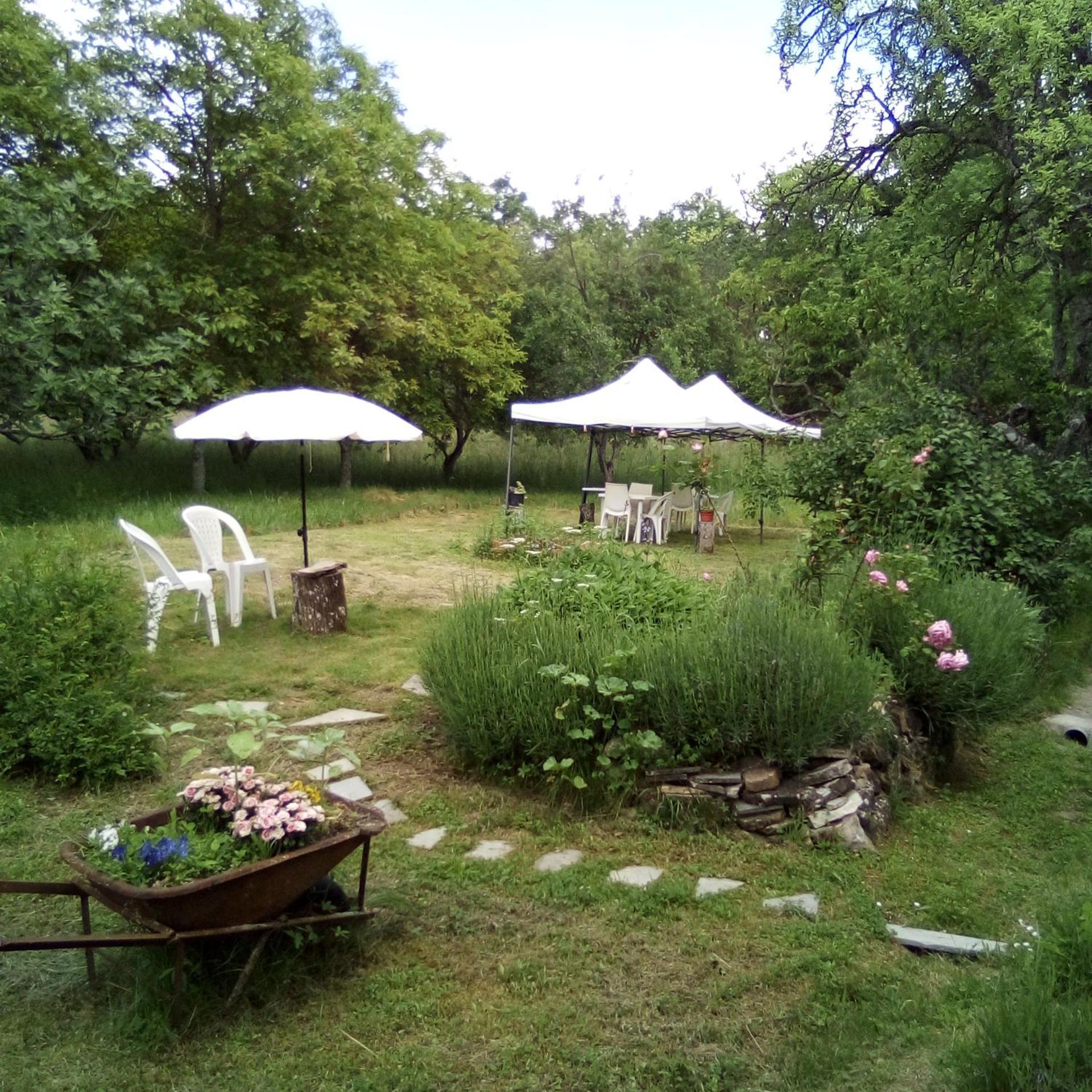 Albareto  Casa Del Gigi Bnb מראה חיצוני תמונה